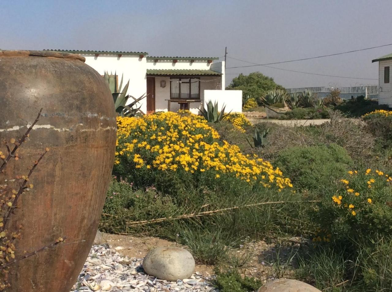 Honnehokke Resort Hondeklipbaai Екстериор снимка