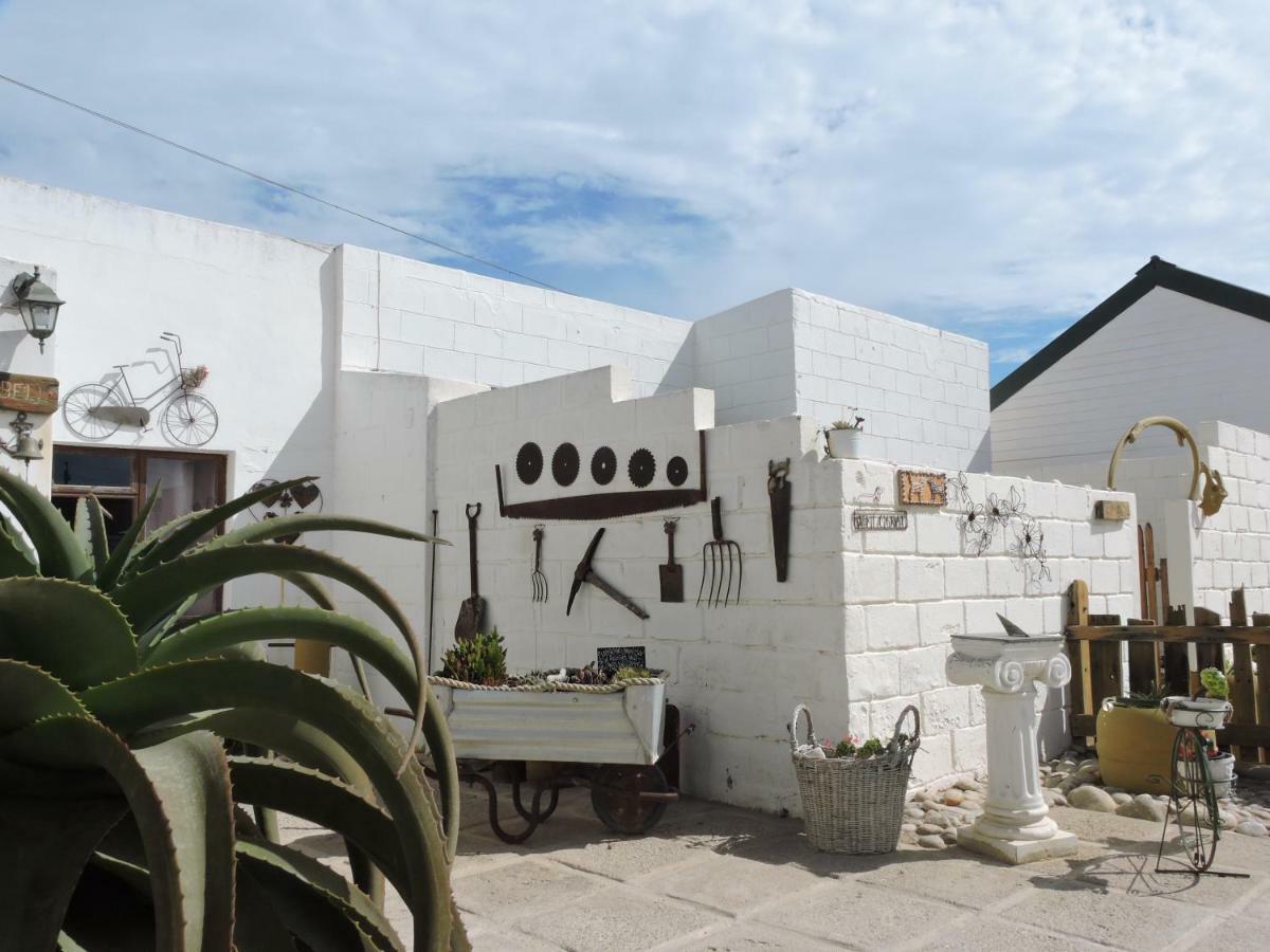 Honnehokke Resort Hondeklipbaai Екстериор снимка